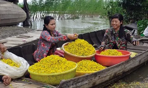 Miền Tây - Mùa con nước lớn
